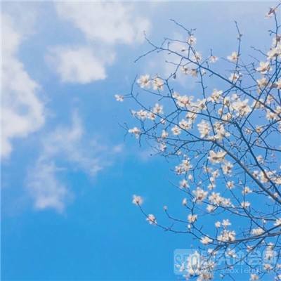 万博manxbet官方下载手机版