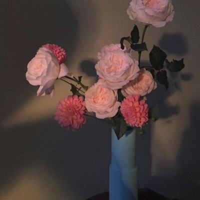 bob·体育综合app下载手机版截图